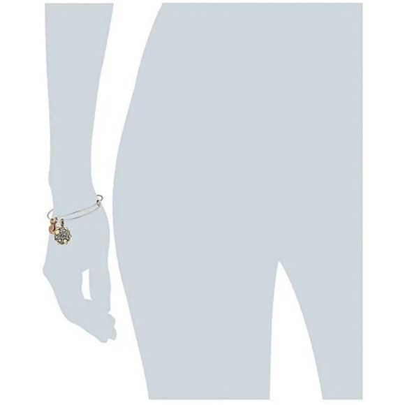 Alex and Ani Silver and Gold Bat Mitzvah Birthday Bracelet - Picture 3 of 5